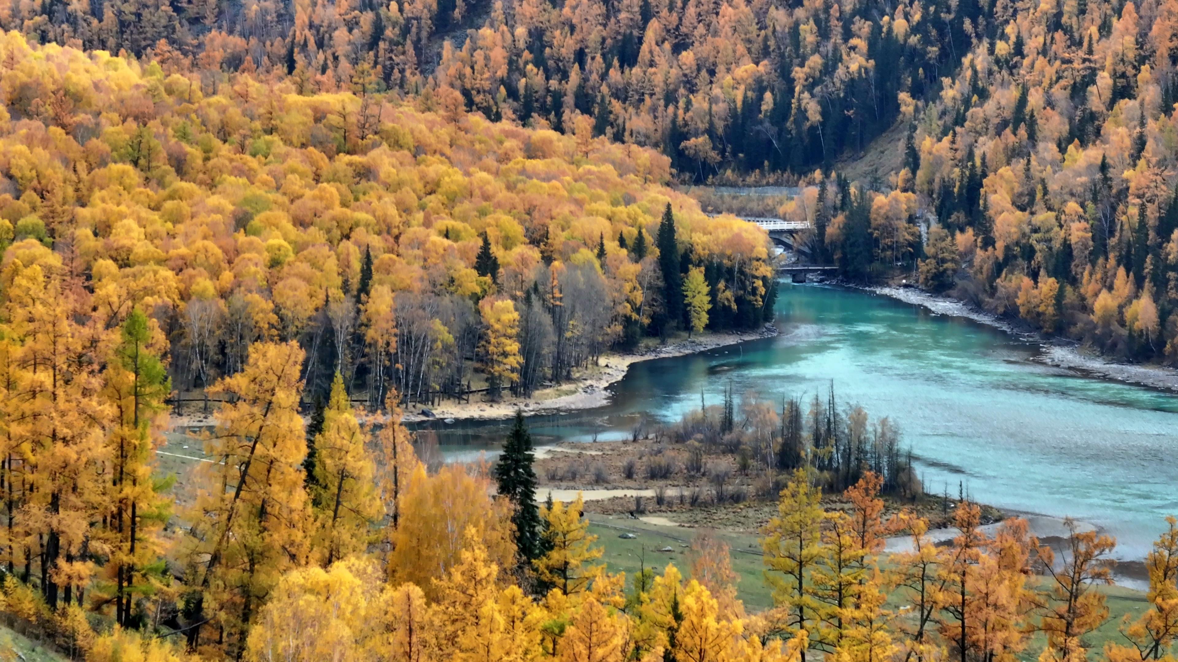 十一月去那拉提旅游價格_十一月去那拉提旅游價格多少