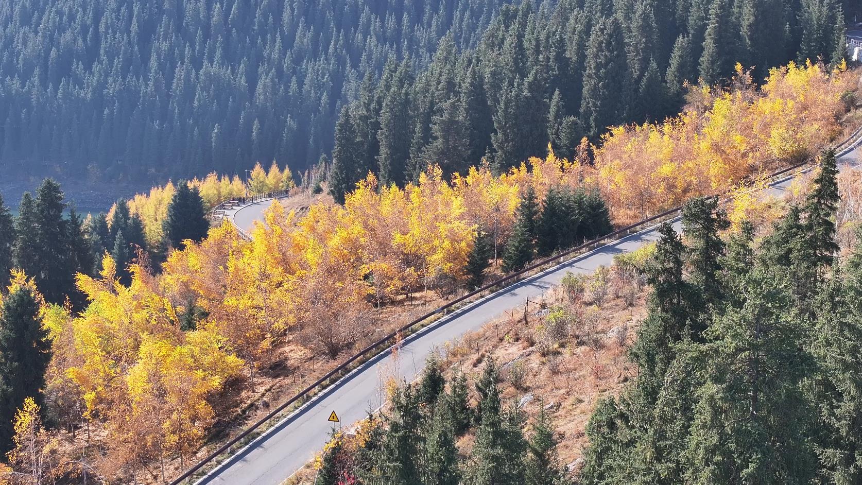 春節期間伊犁旅游團價格_春節期間伊犁旅游團價格會漲嗎