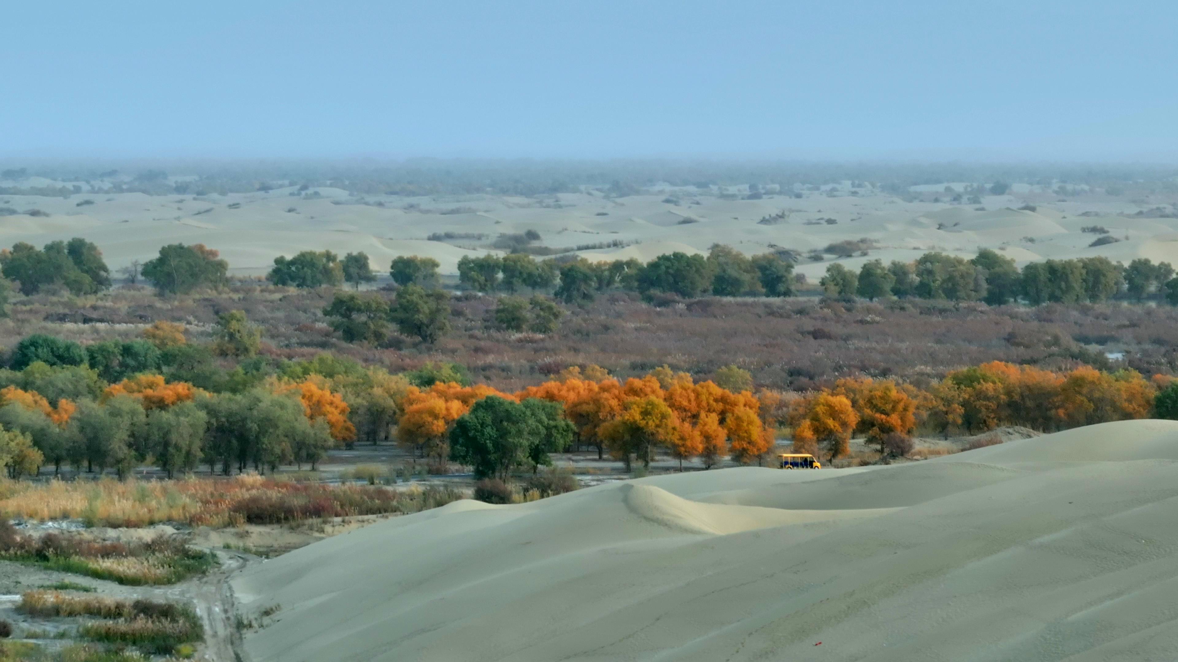 伊犁旅游跟團游價格_伊犁旅游跟團游價格一樣嗎