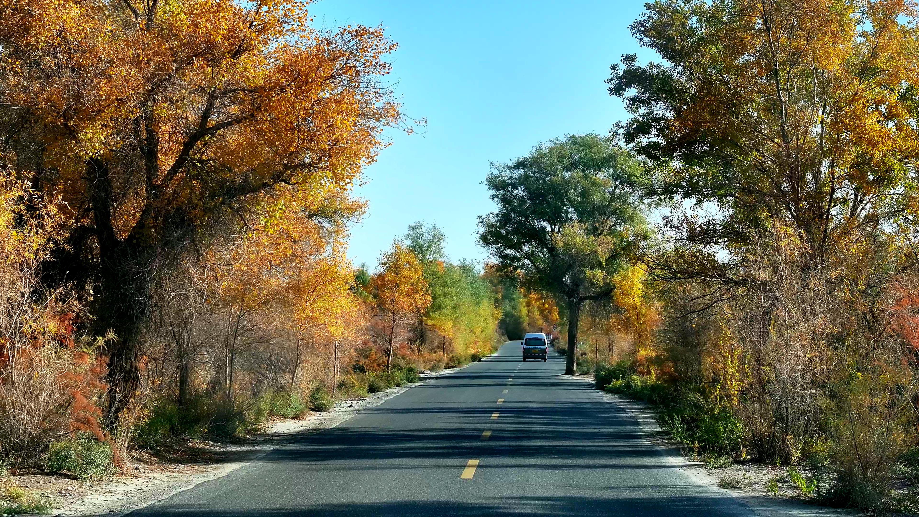 新疆旅游旅游團多少錢_新疆旅游旅游團多少錢一天