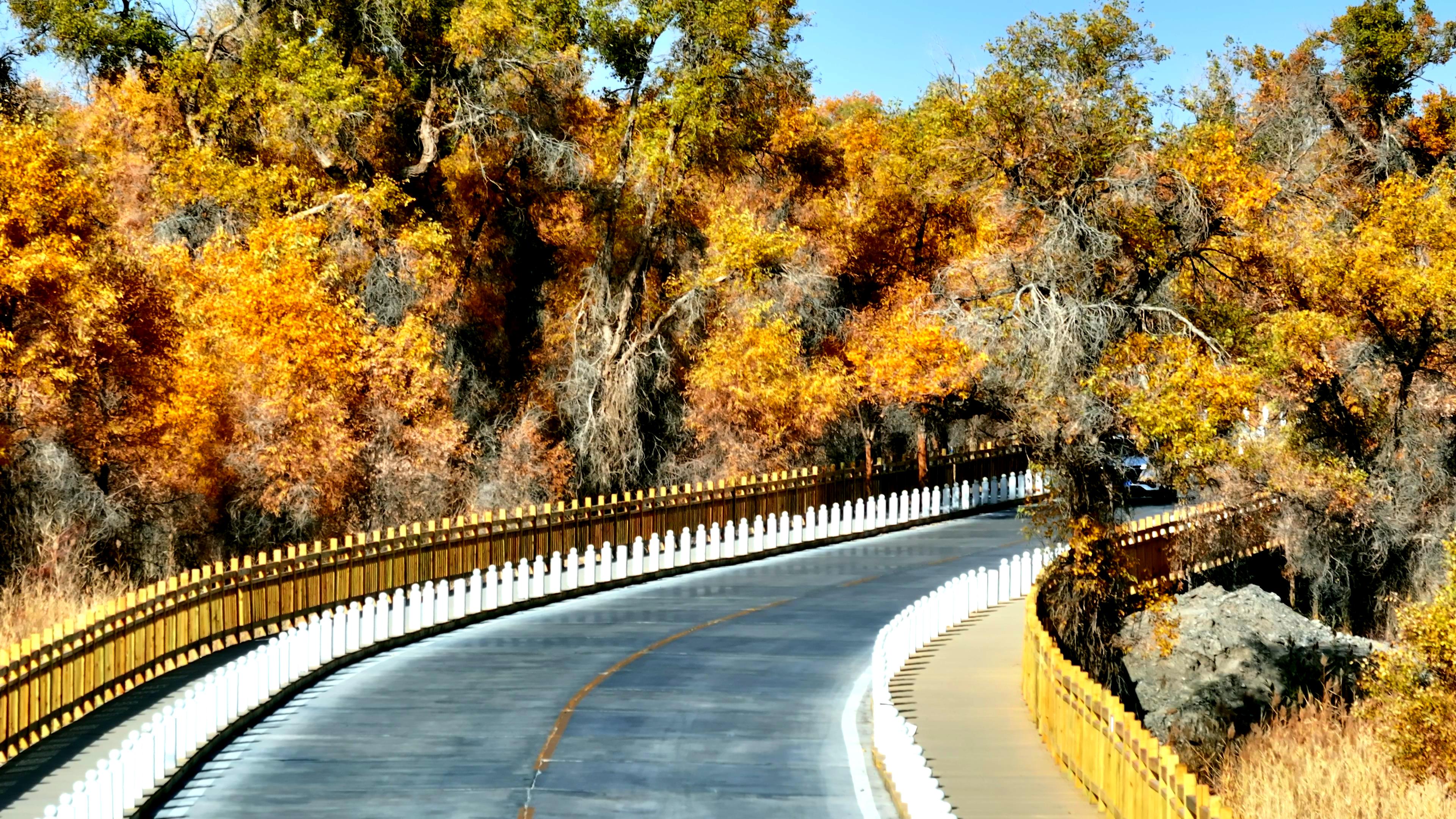 去新疆跟團旅行多少錢_去新疆跟團旅行多少錢一個月