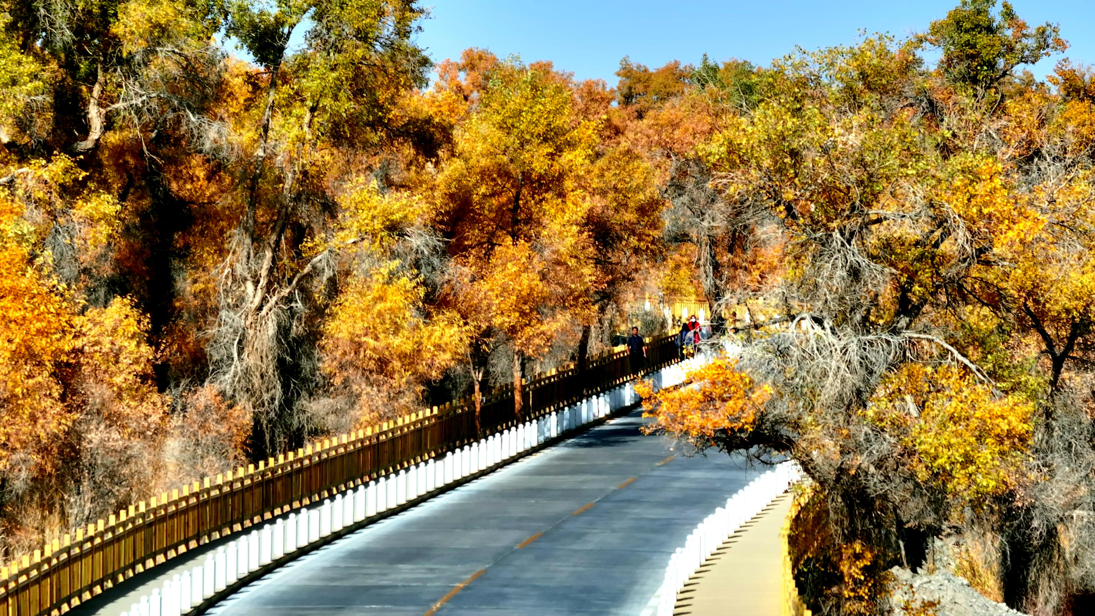 春節新疆南疆旅行團價格_新疆南彊旅游