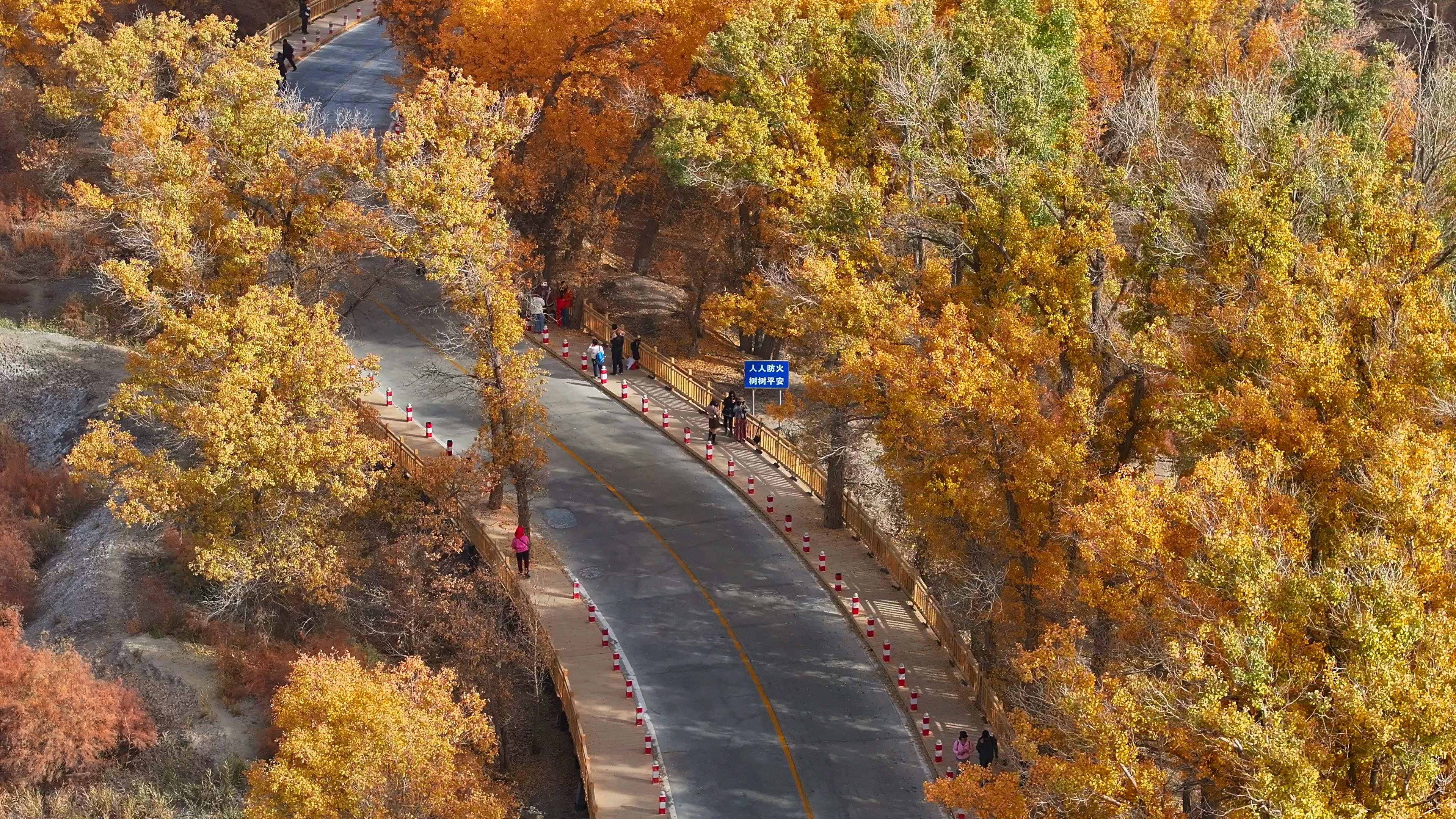 新疆旅行跟團游_新疆旅行跟團游游報價