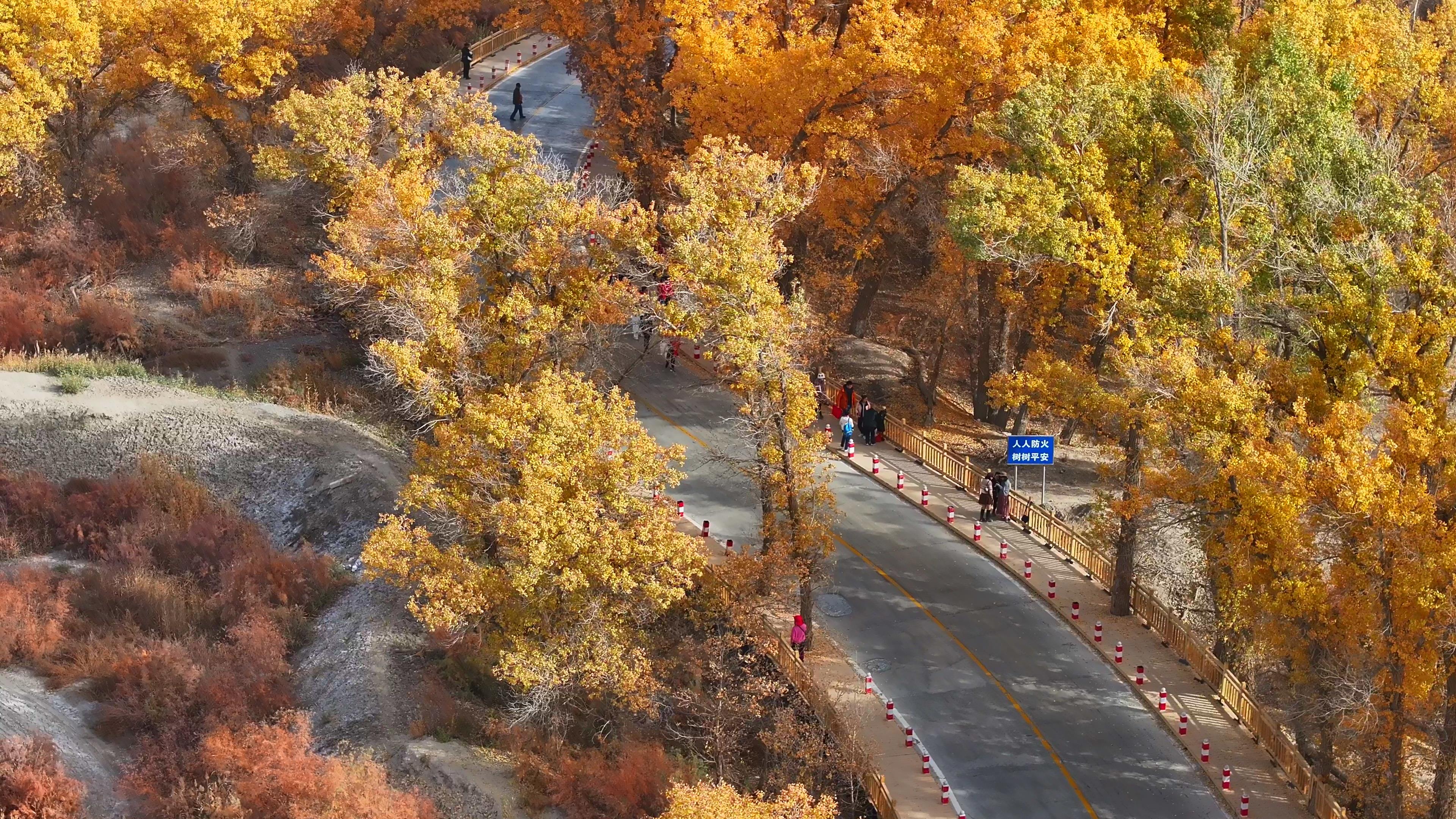 十二月去新疆北疆旅游_12月份去新疆旅游