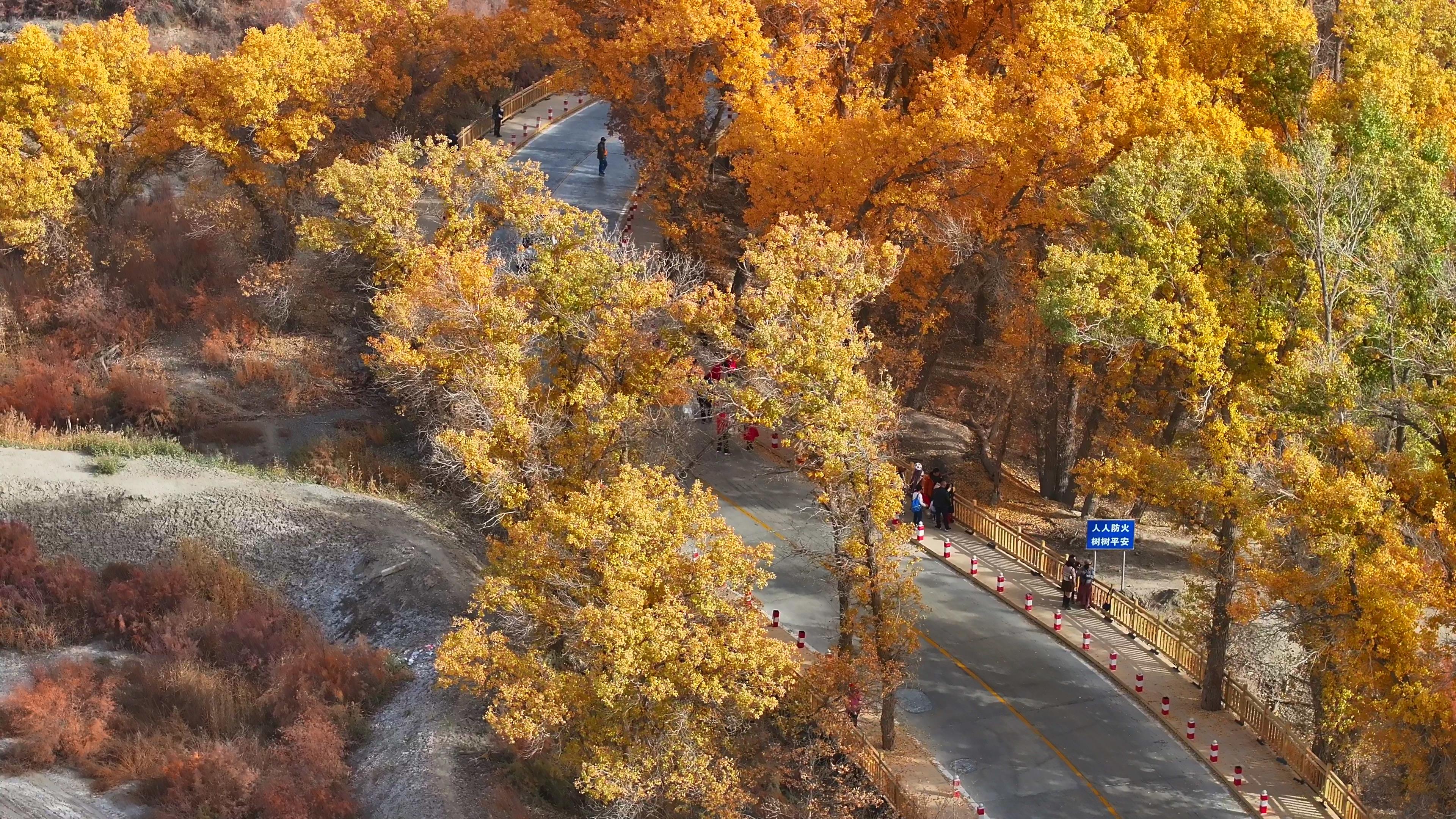 八月中旬去那拉提旅游多少錢_八月中旬去那拉提旅游多少錢一天