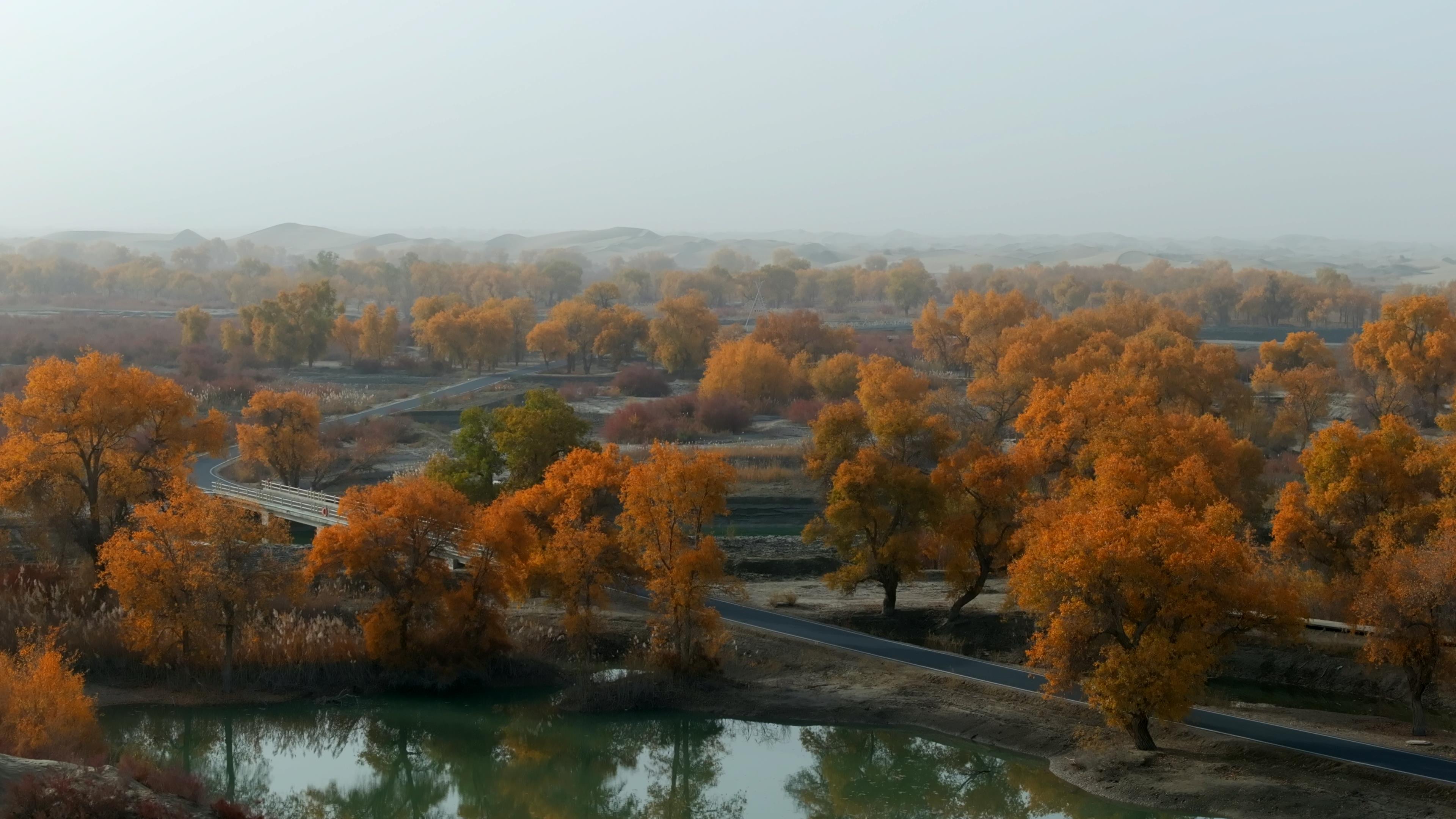 喀納斯九月底旅游價格_喀納斯九月底旅游價格多少