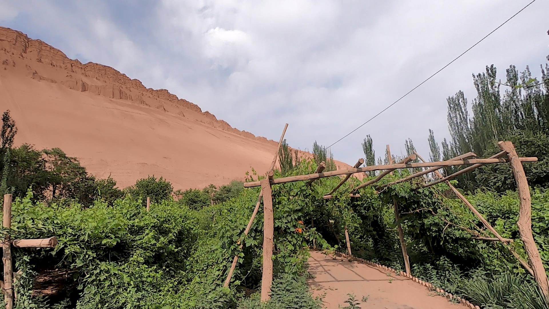 七月喀納斯旅游價格_七月喀納斯旅游價格走勢