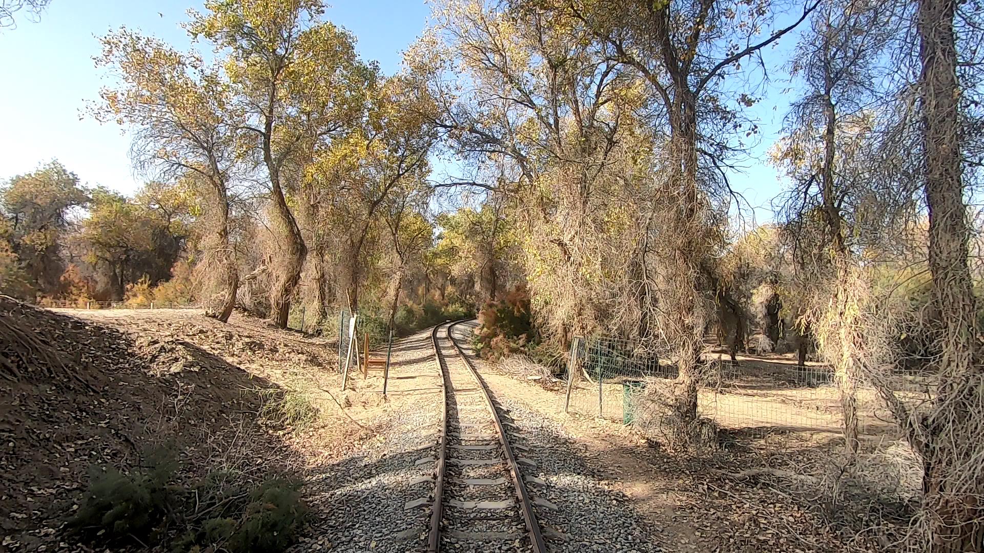 旅行團新疆南疆費用_新疆旅行團多少錢