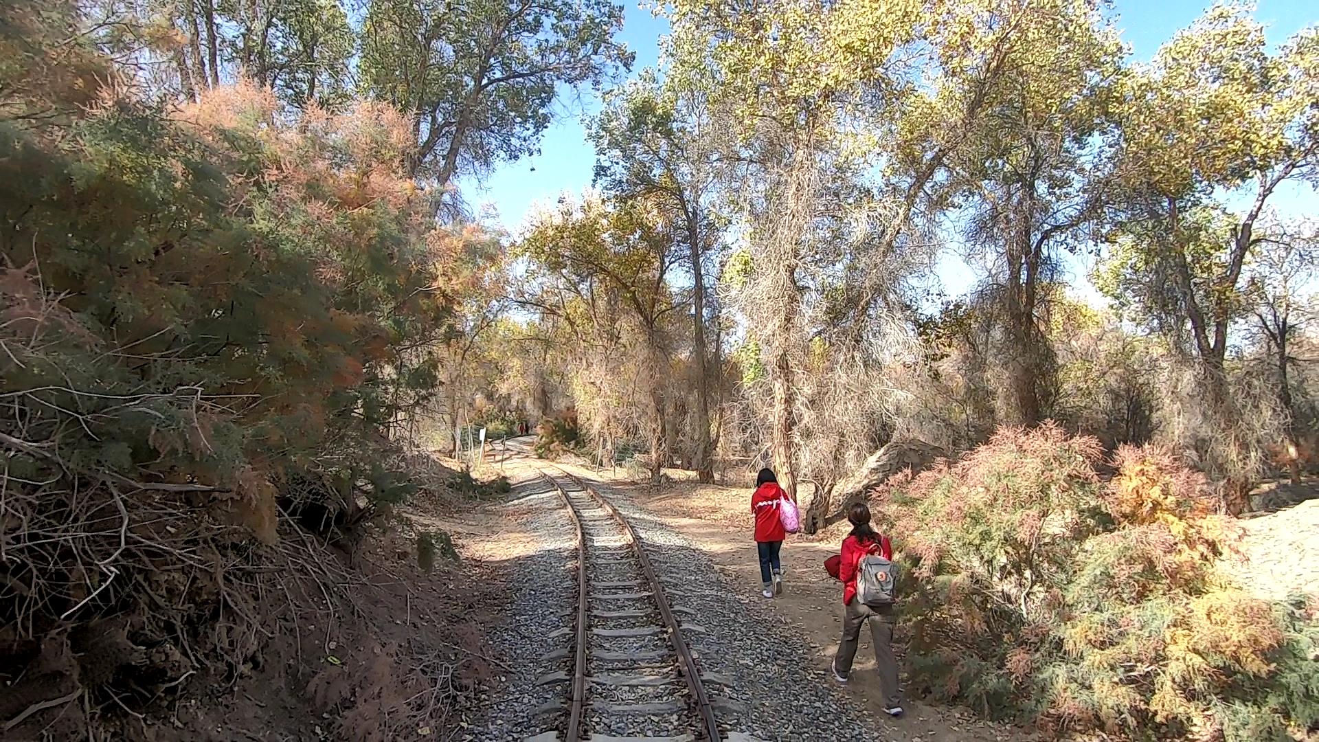 新疆跟團旅游團多少錢_新疆跟團旅游團多少錢一個月