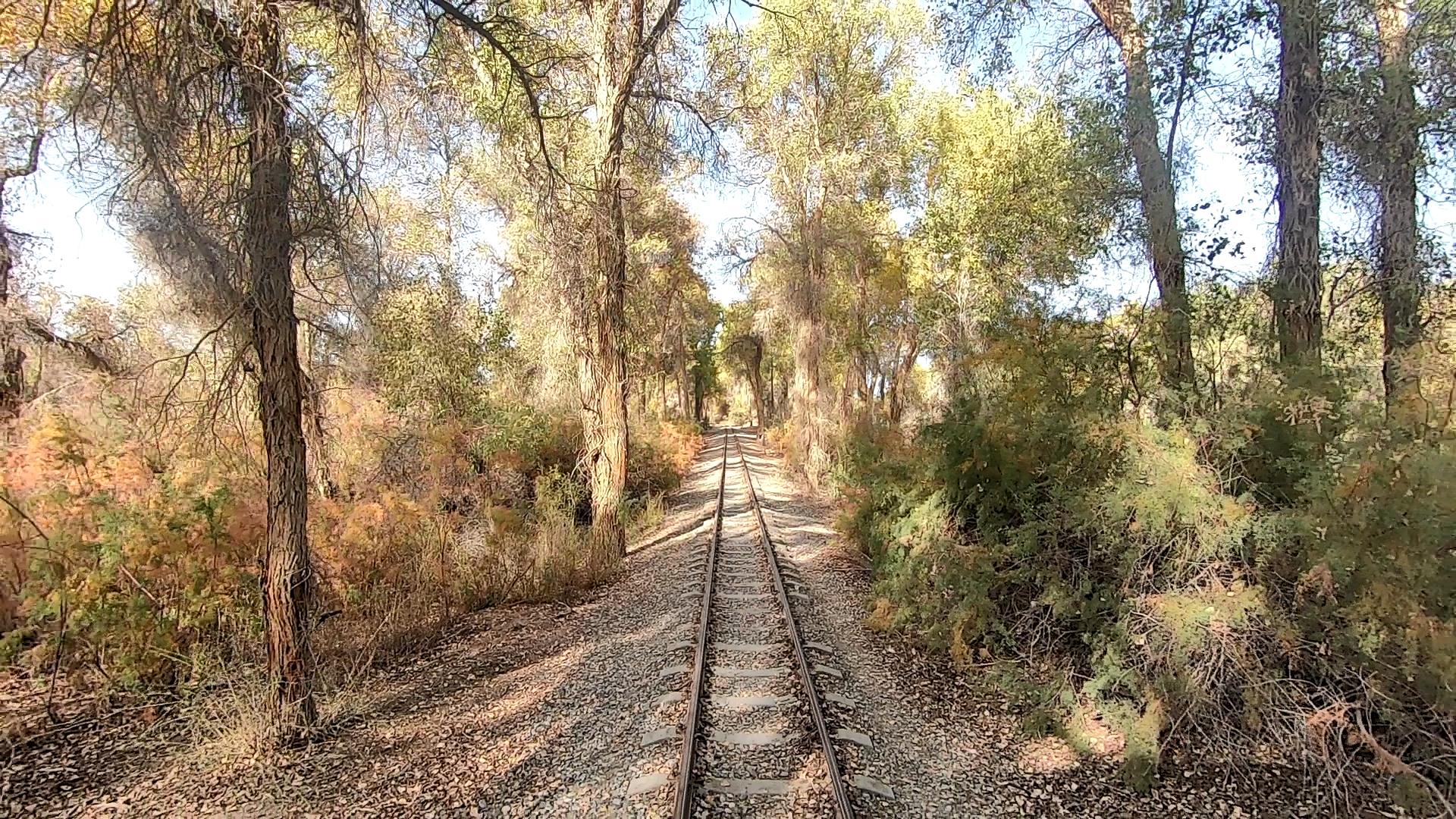 新疆旅游純玩包車價格_新疆旅游純玩包車價格是多少