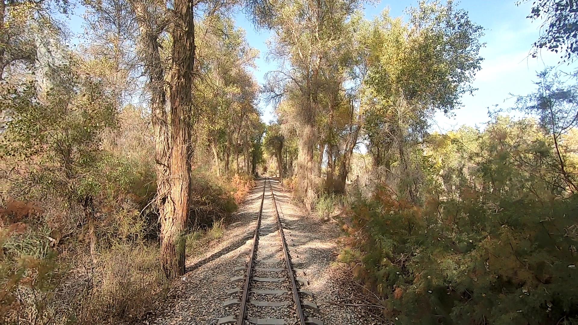 新疆旅游團的費用_新疆旅游團的費用是多少