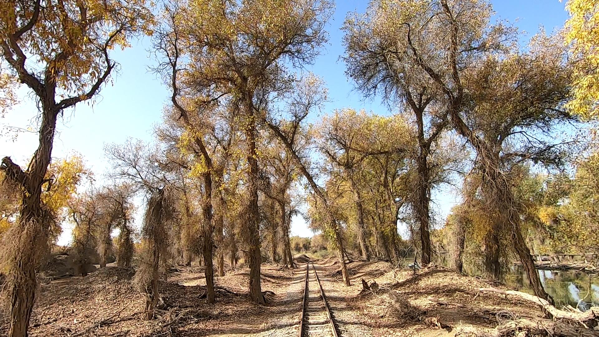 新疆南疆跟團旅游團費用_南彊跟團游