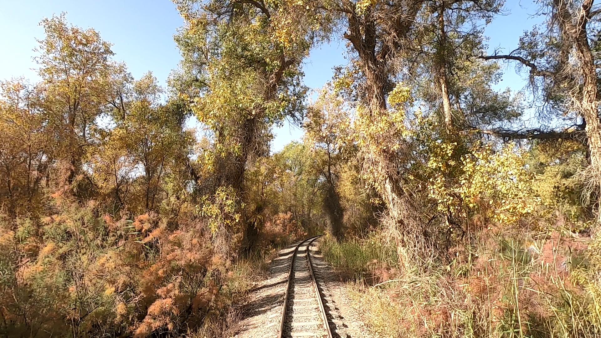 跟團新疆旅行報價_跟團新疆旅行報價多少