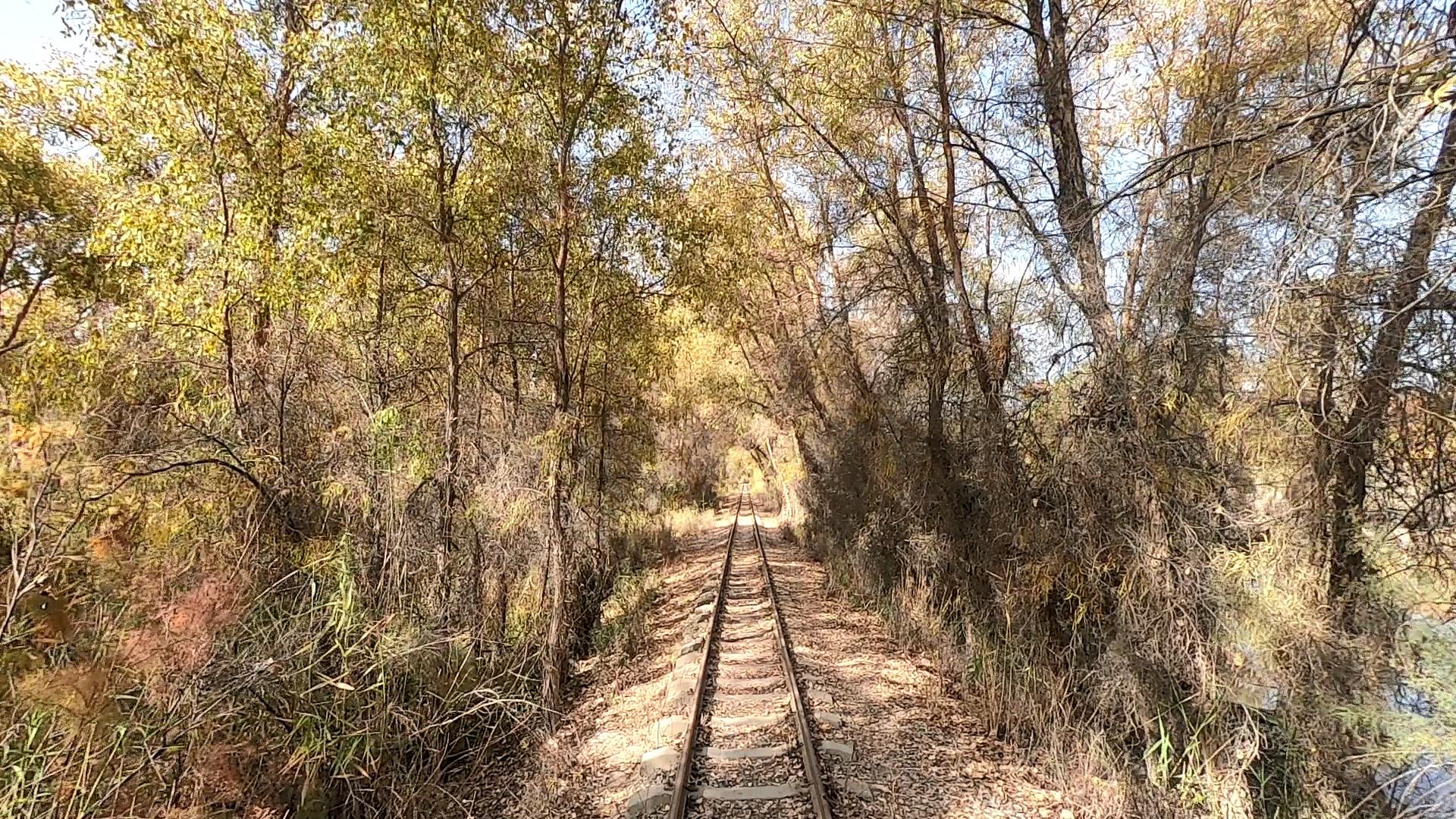 喀納斯十月旅游攻略_喀納斯十月旅游攻略大全