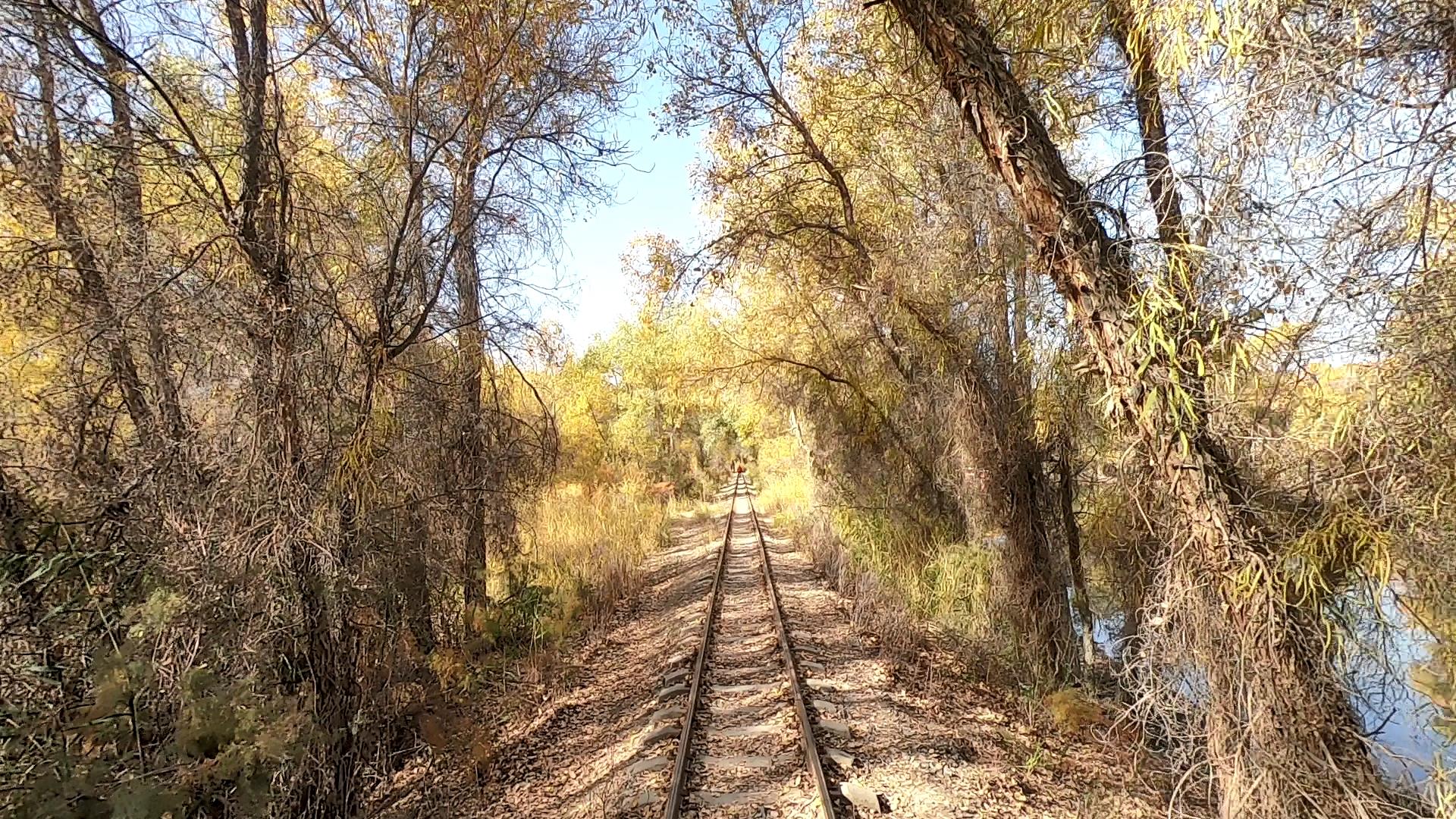 旅行團新疆南疆游價格_新疆旅行團報價