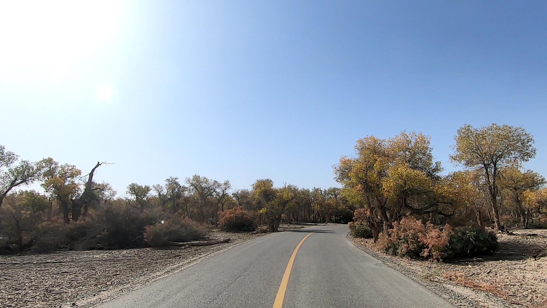 伊犁九日游旅行社_伊犁九日游旅行社電話