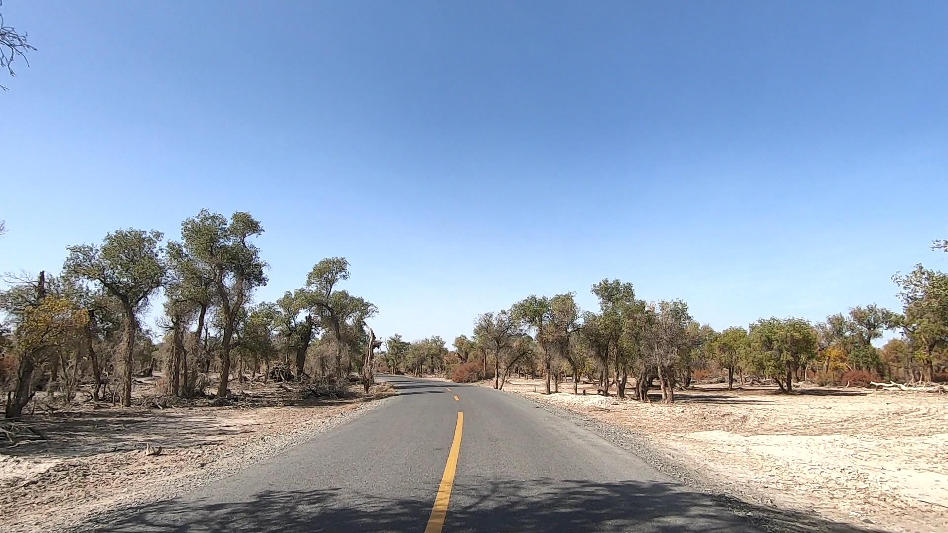 跟團喀什旅行_跟團喀什旅行多少錢