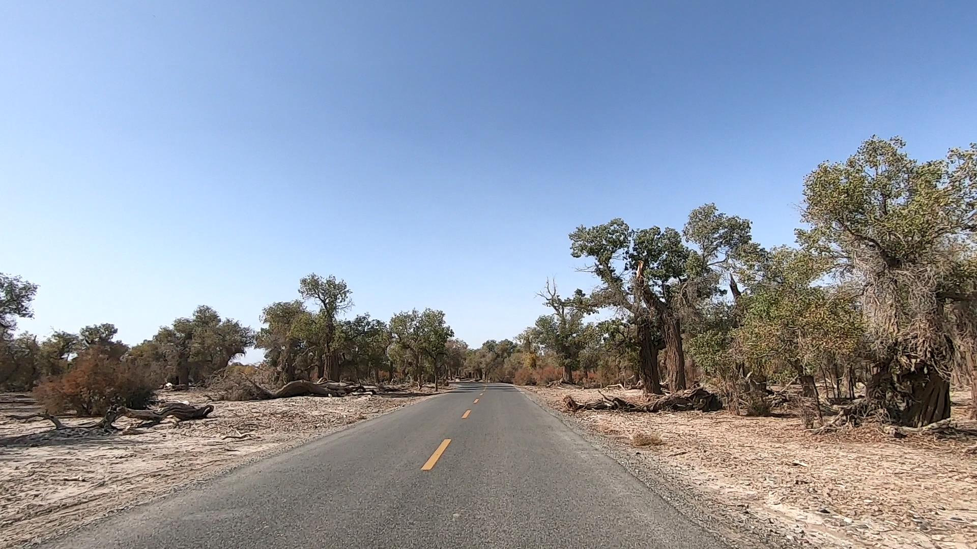 伊犁旅游參團報價_伊犁旅游參團報價表