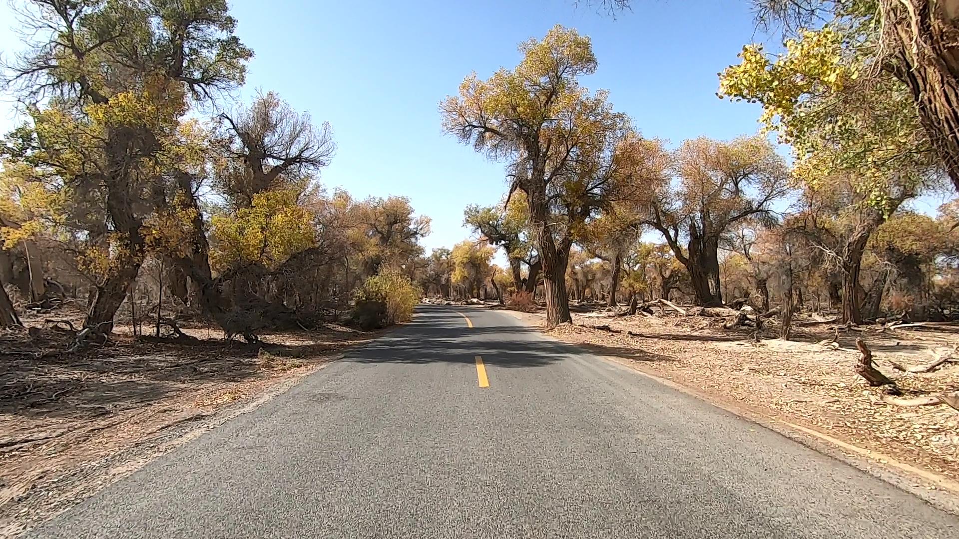 新疆南疆旅游團線路_新疆南彊旅游