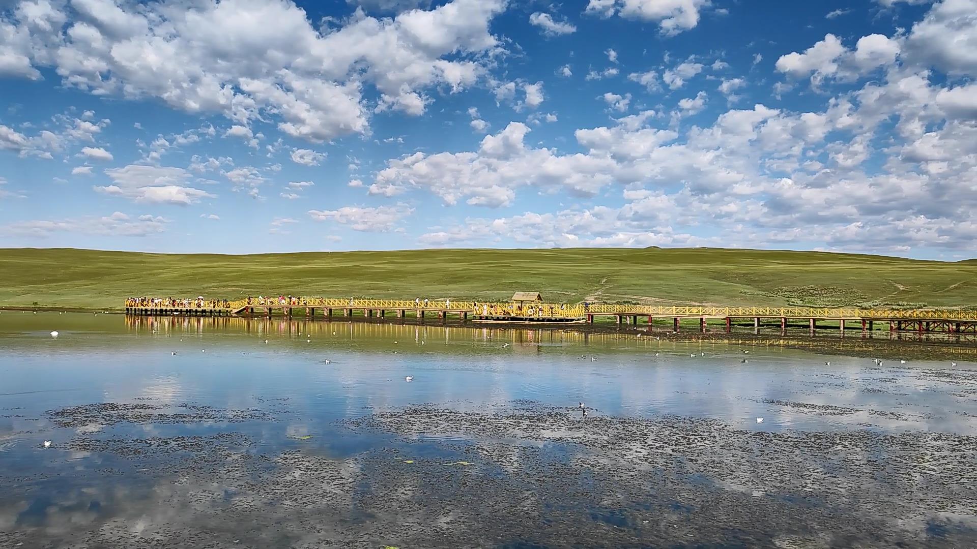 去伊犁旅游旅行團多少錢_去伊犁旅游旅行團多少錢一天