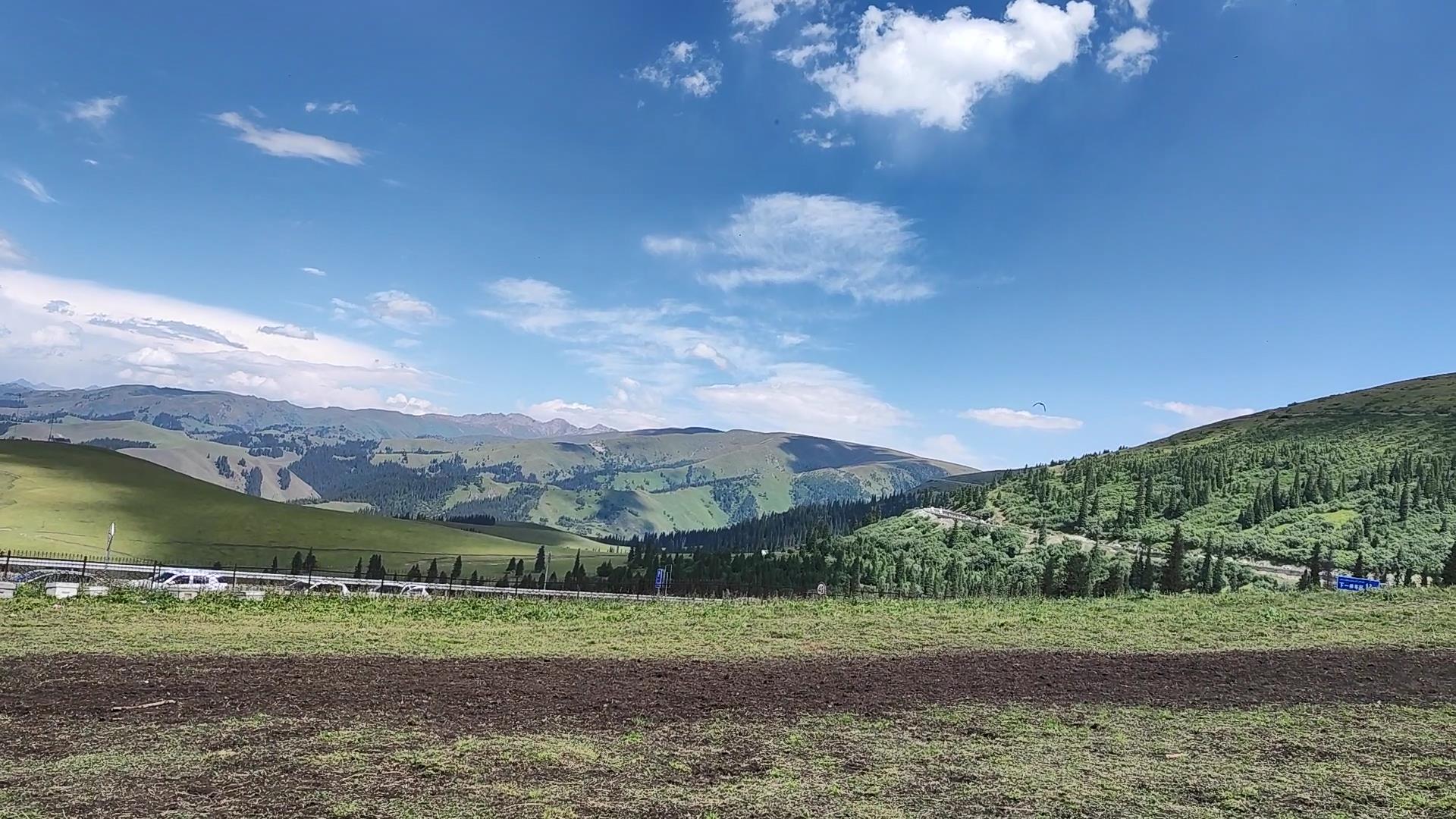 新疆草原旅游多少錢_新疆草原旅游多少錢一天