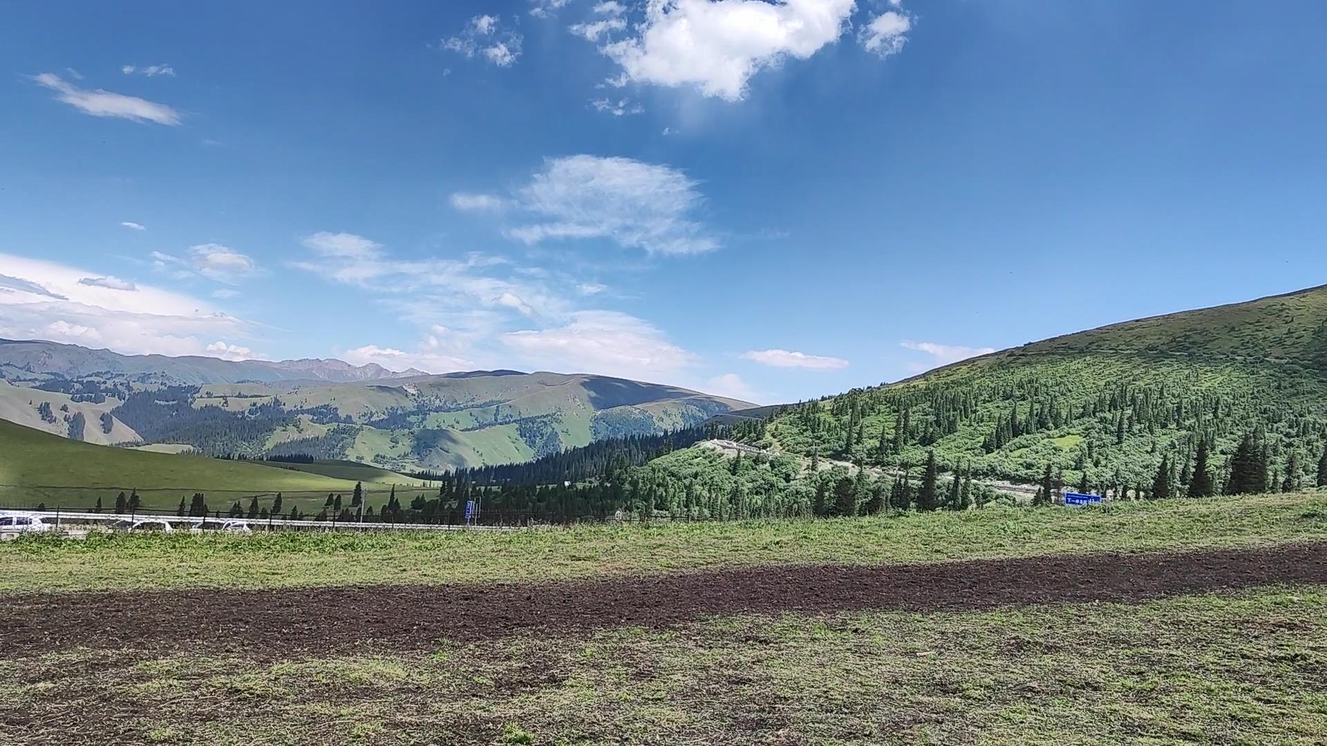 八月伊犁組團旅游_八月伊犁旅游攻略