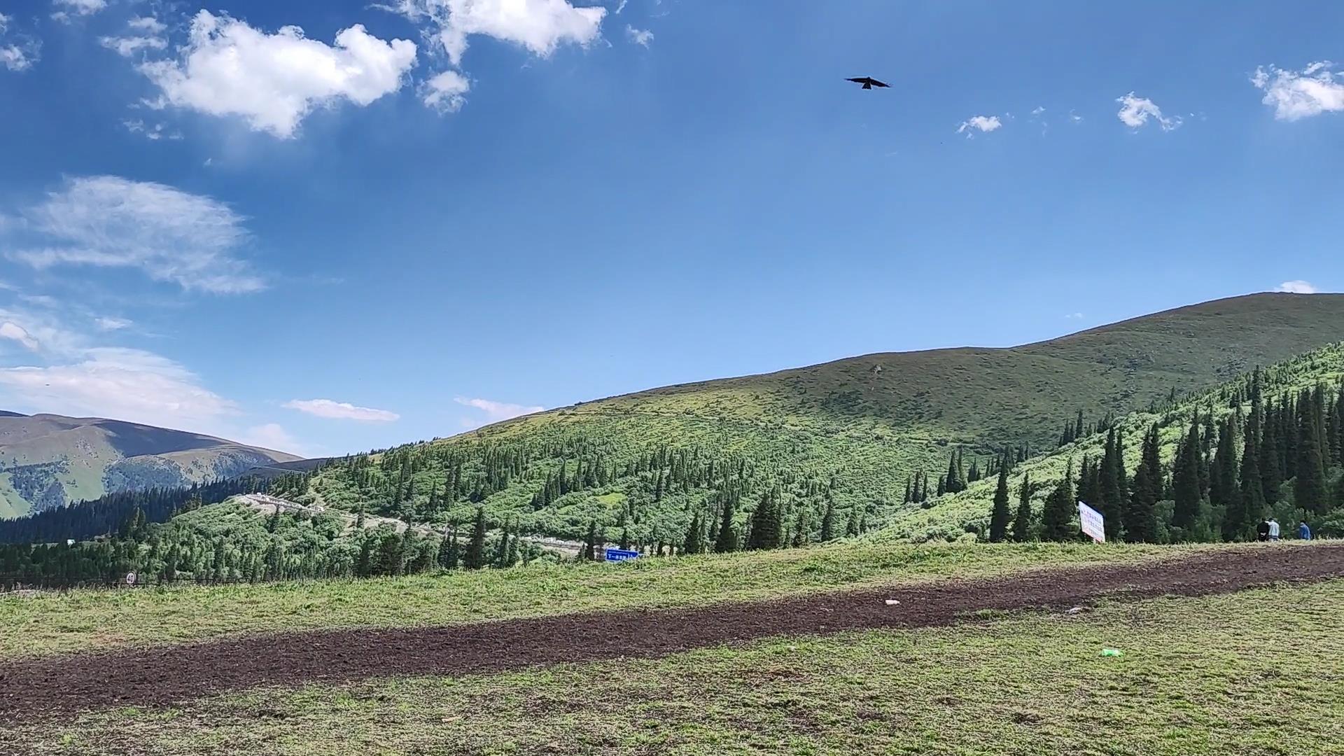 喀納斯旅游純玩團_喀納斯當地旅游團