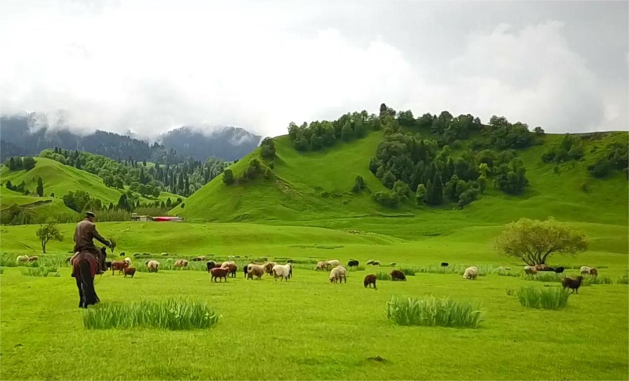 那拉提旅游9月多少錢_那拉提旅游9月多少錢一天