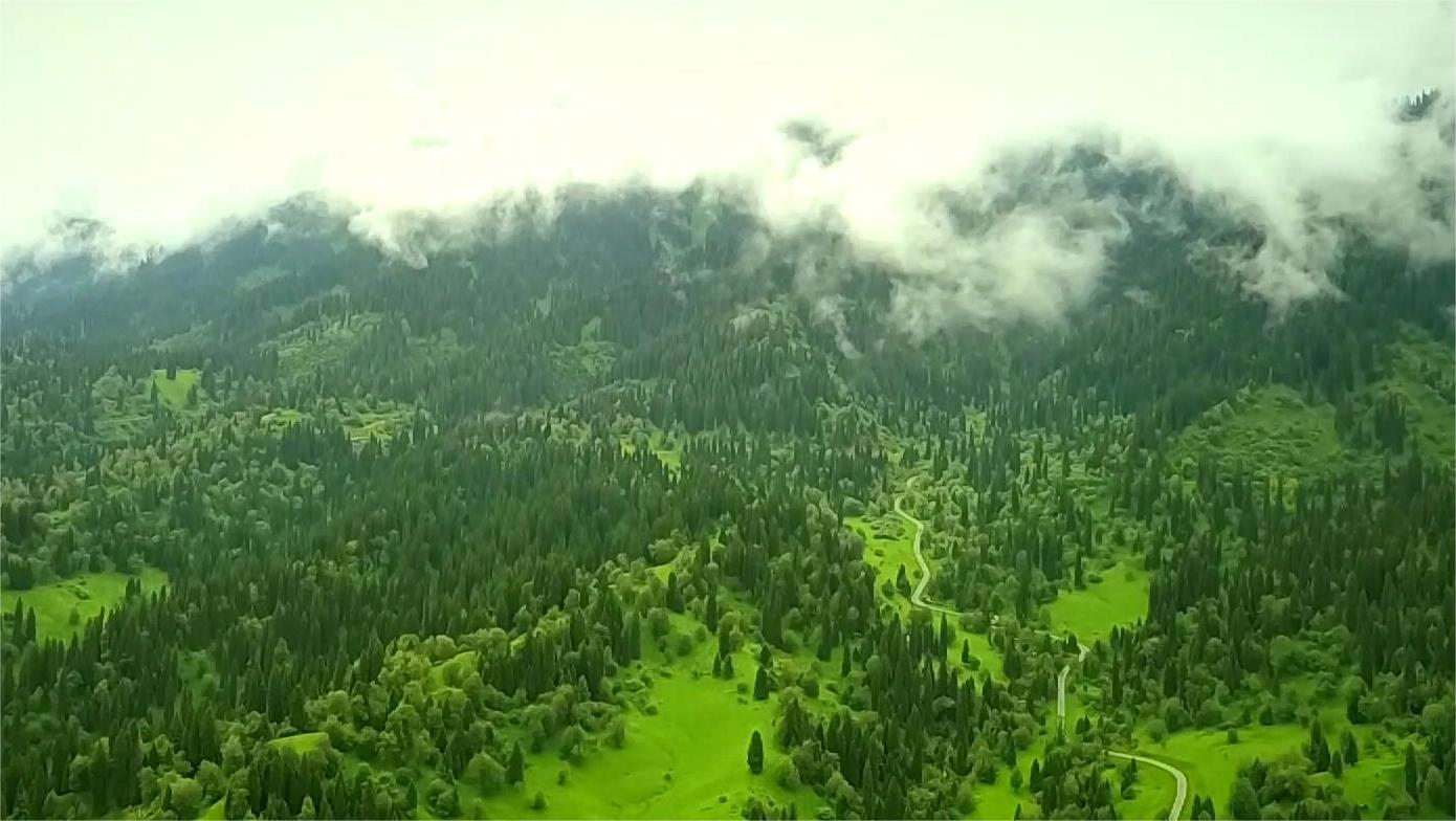 去賽里木湖旅游的團_去賽里木湖玩住哪里