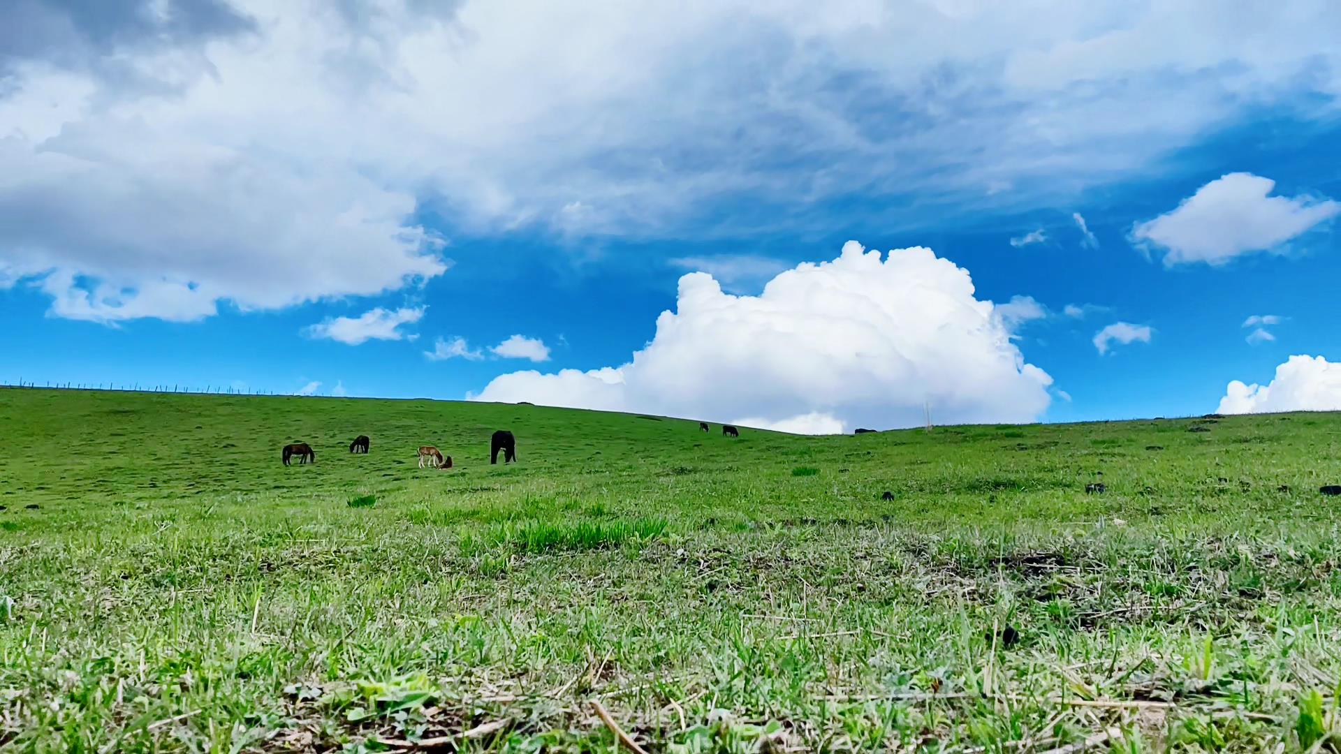 八月底到喀什旅游多少錢_八月底到喀什旅游多少錢啊