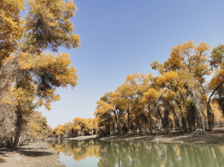 How much does a Xinjiang 6-person premium small group cost? 2026 latest transparent pricing without tricks _Jiangxiaotuan Group Buy Image 3