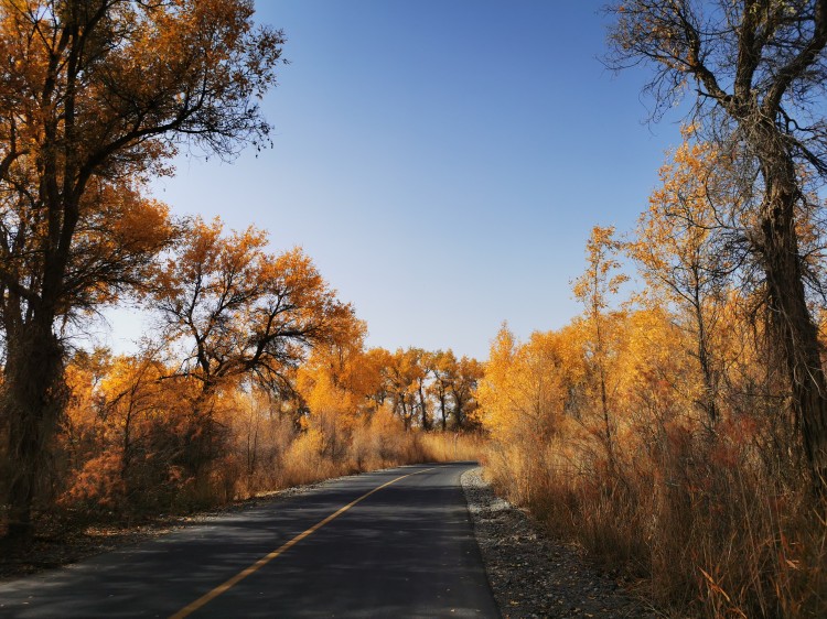 Xinjiang Travel Full-area Customized Car Rental丨Urumqi Legitimate Car Rental Platform丨Reliable Travel Agency Booking Method and Contact Number - Part 1 Image 2