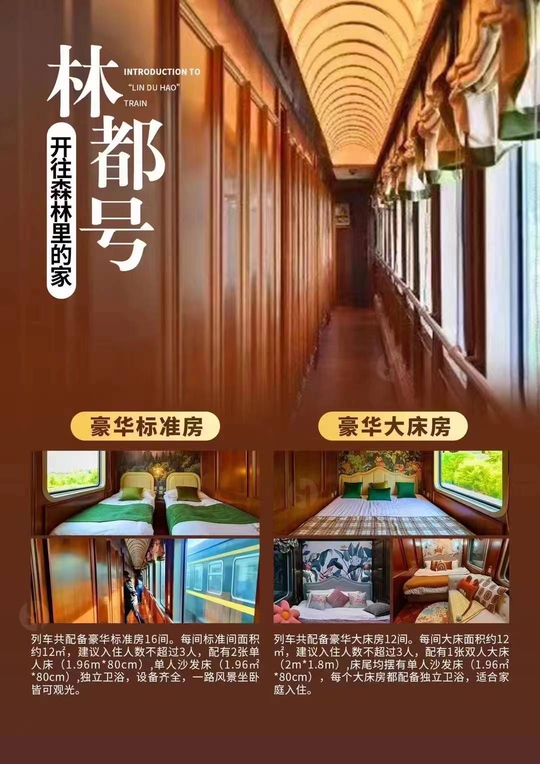 林都號訂票官網入口?價格明細全解析,諮詢新疆探路者客服楊佳訂票 配圖5
