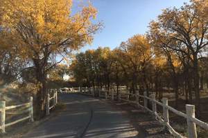 喀什旅遊定製用車哪家好-第4篇 配圖4
