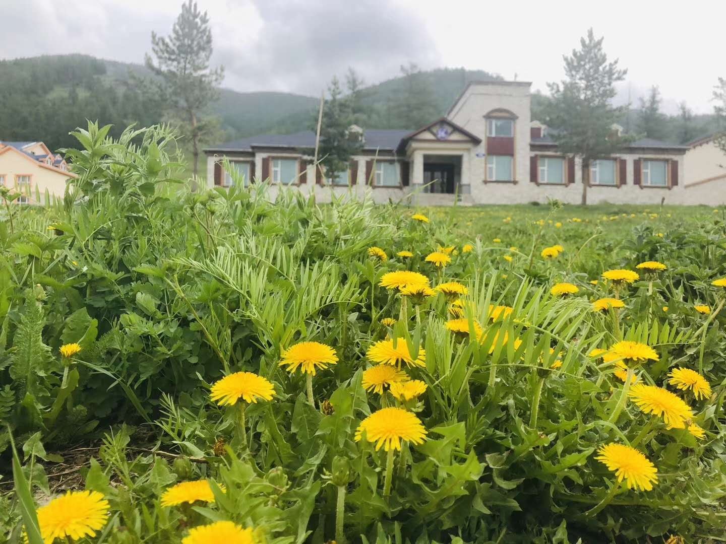 新疆旅遊團報價10日遊價格 _表新近 配圖6