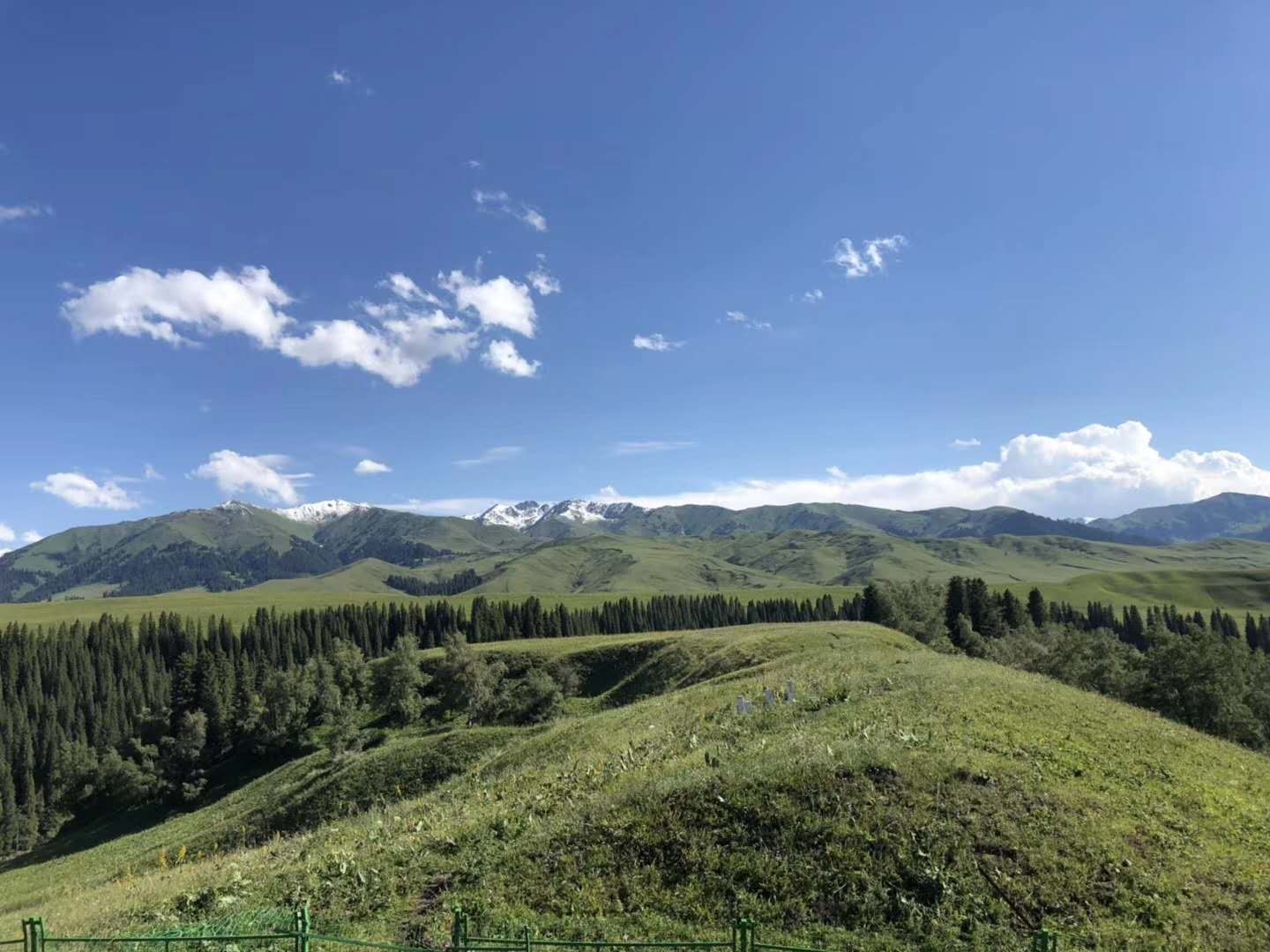 新疆旅遊團報價10日遊價格 _表新近 配圖4