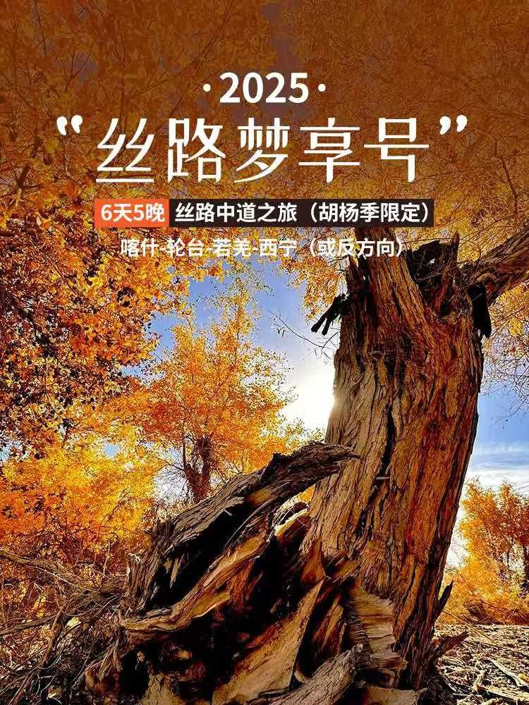 Silk Road Dream Express 2026 Latest Quotation - Part 1 Image 2