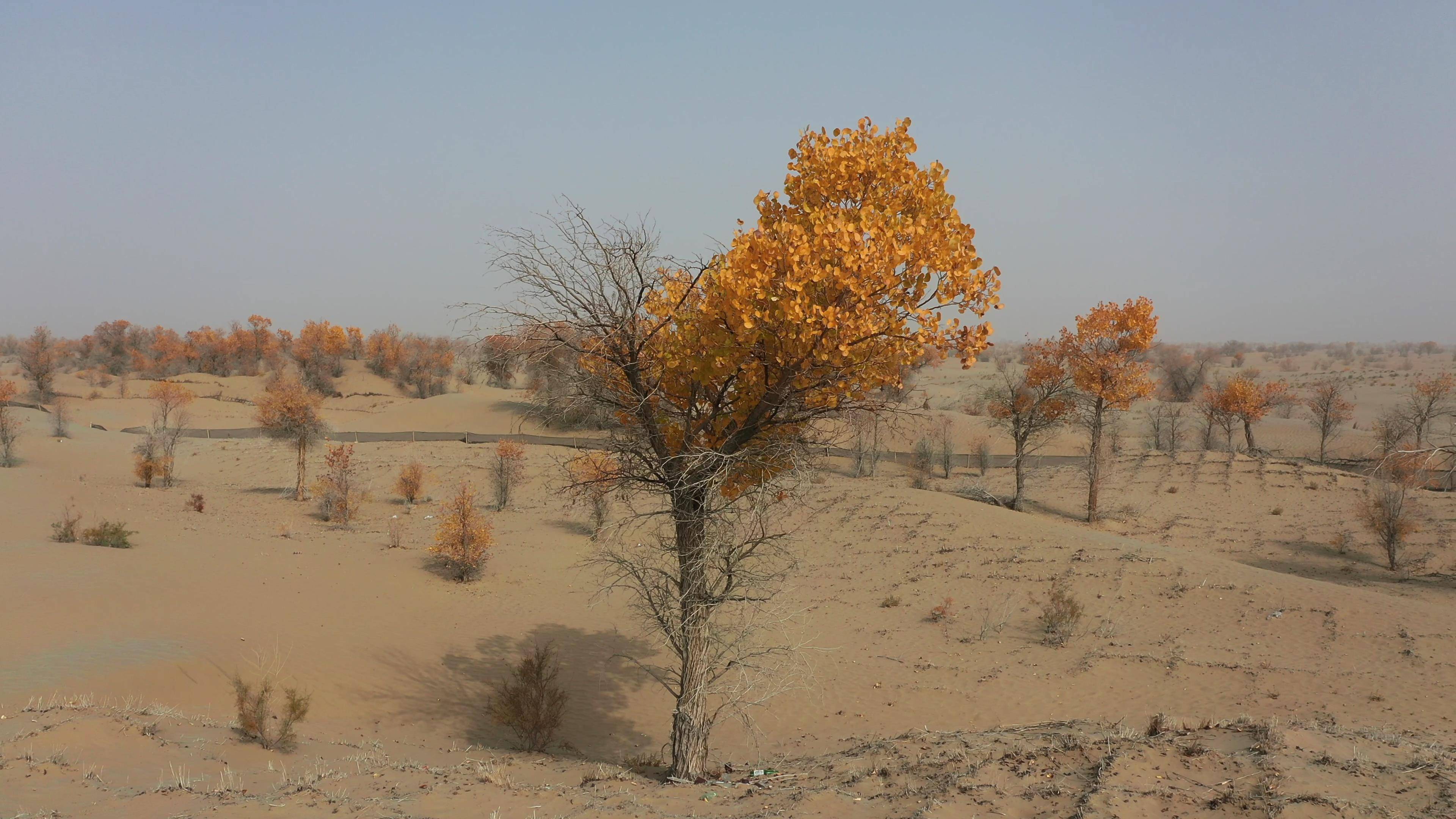How much does Kashgar Ancient City customized car rental cost - Part 2 Image 1